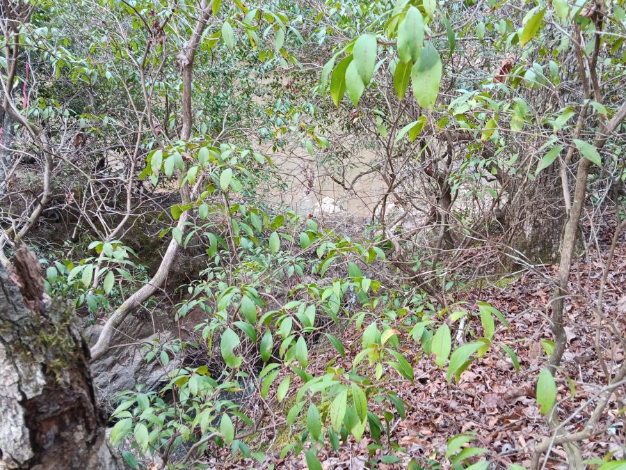 10 Acres High Above Tar River