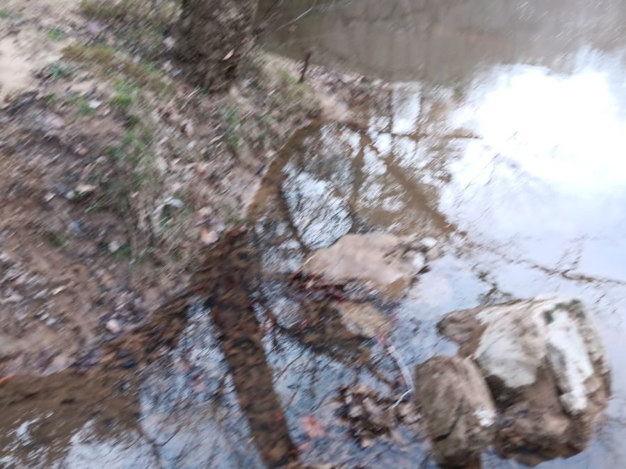 10 Acres High Above Tar River photo 4