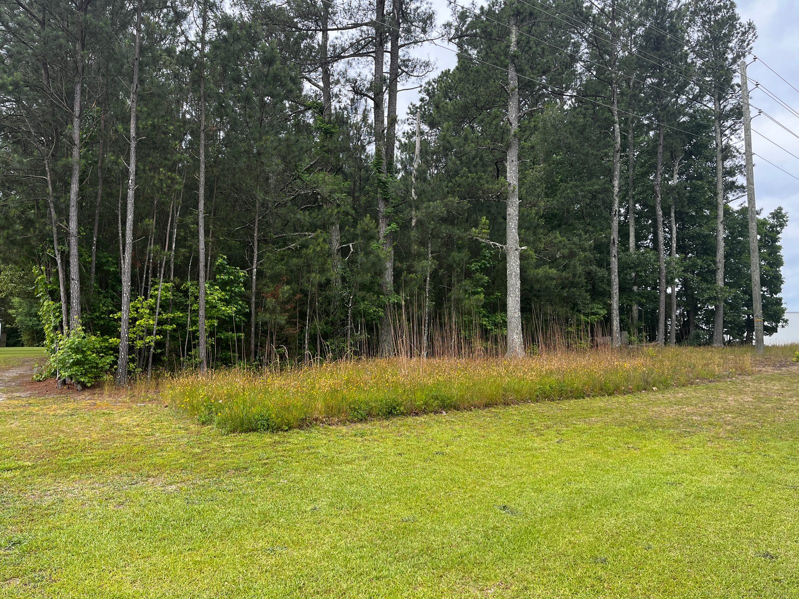 Bearpond Road — 1 Acre Lot photo 5