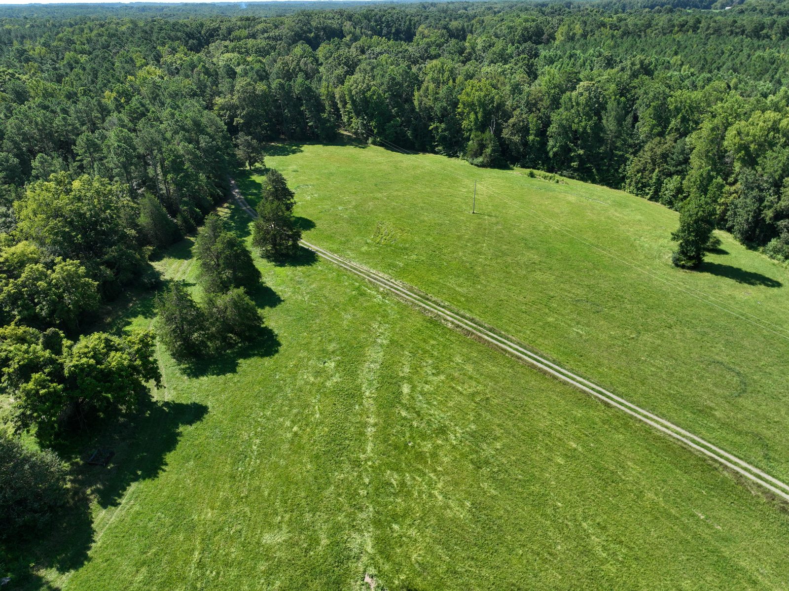 Cannady Mill Farms — Homestead Tracts