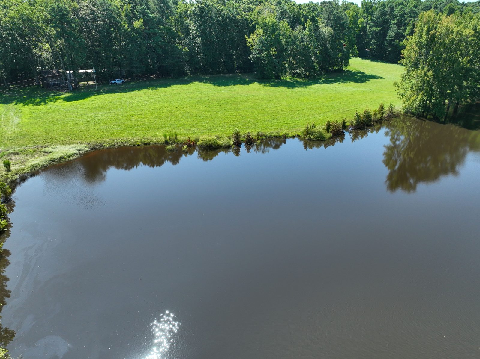 Cannady Mill Farms — Homestead Tracts photo 3