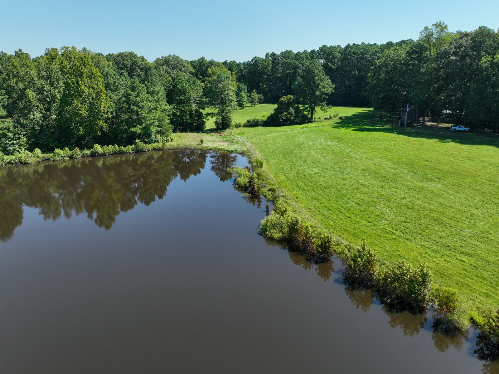 Cannady Mill Farms — Homestead Tracts photo 4