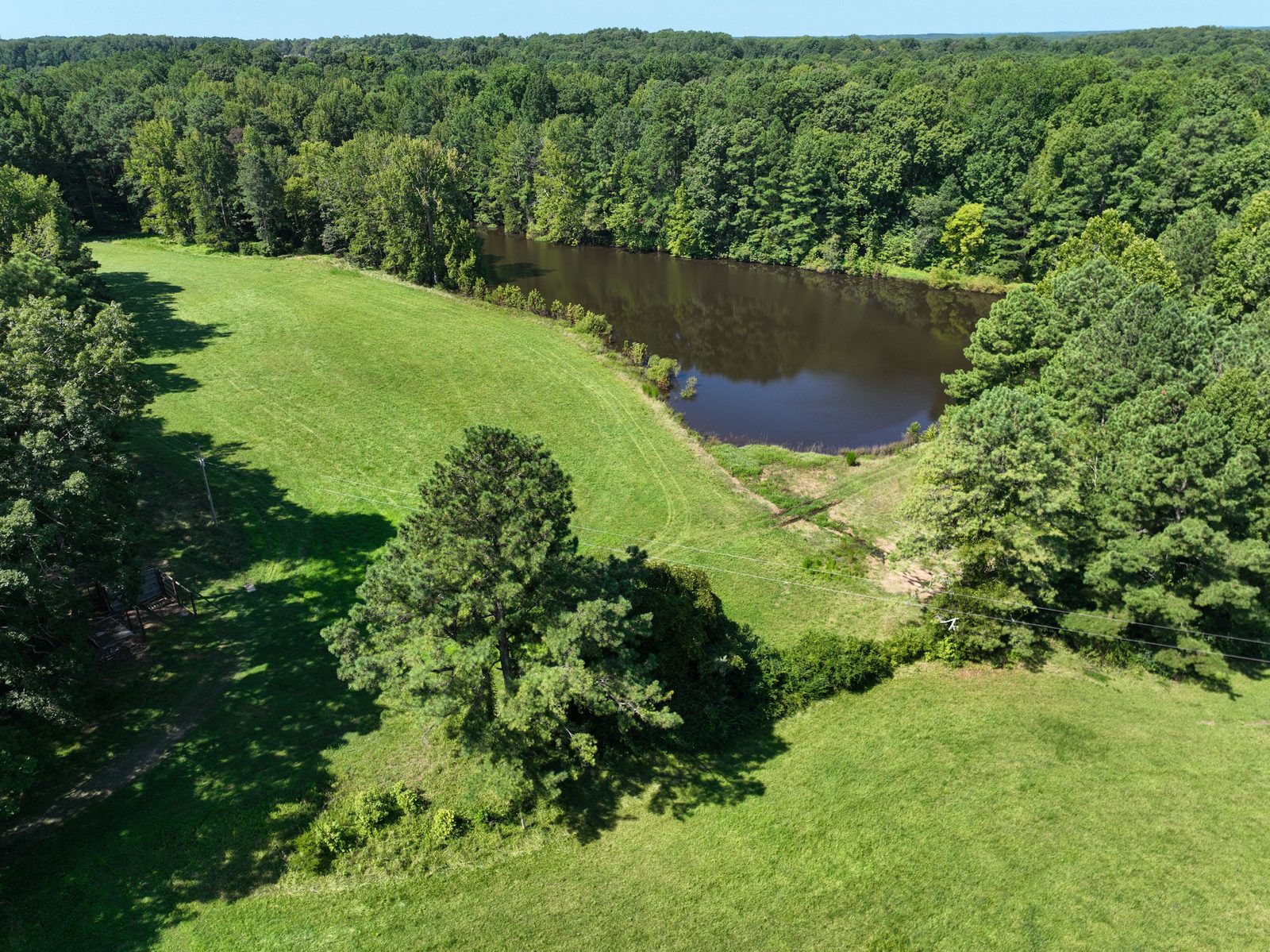 Cannady Mill Farms — Homestead Tracts photo 5