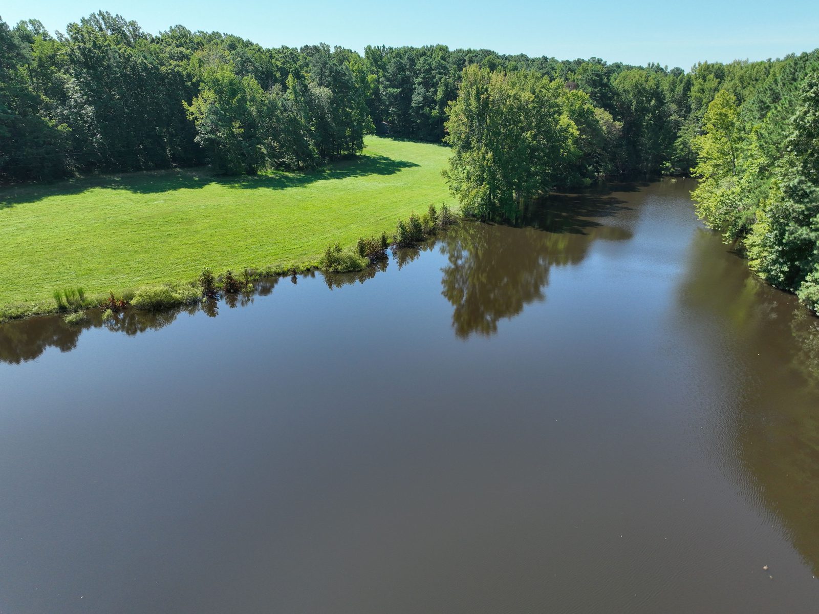 Cannady Mill Farms — Homestead Tracts photo 6