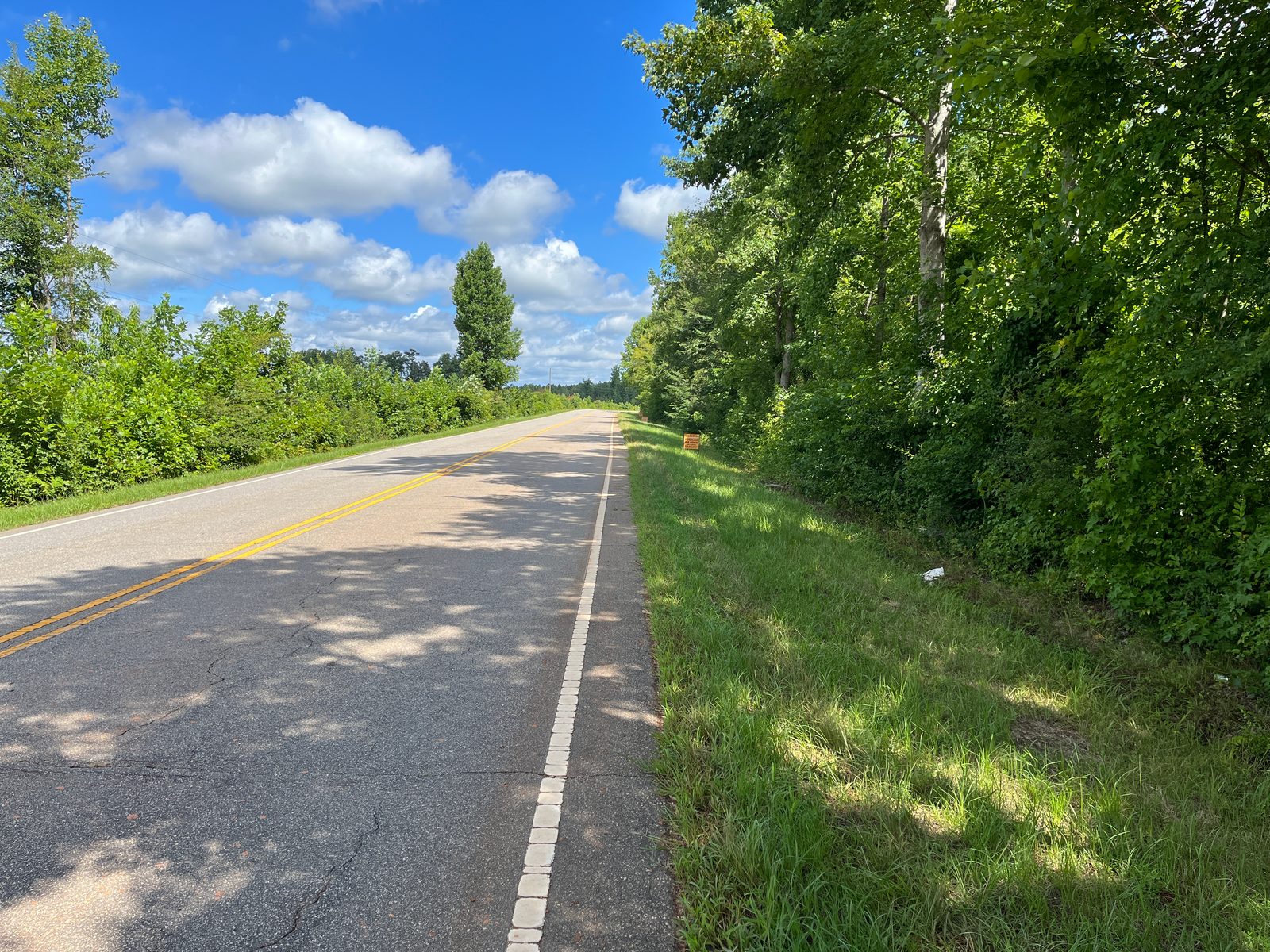 Castalia Road Lots — NC HWY 58 photo 5