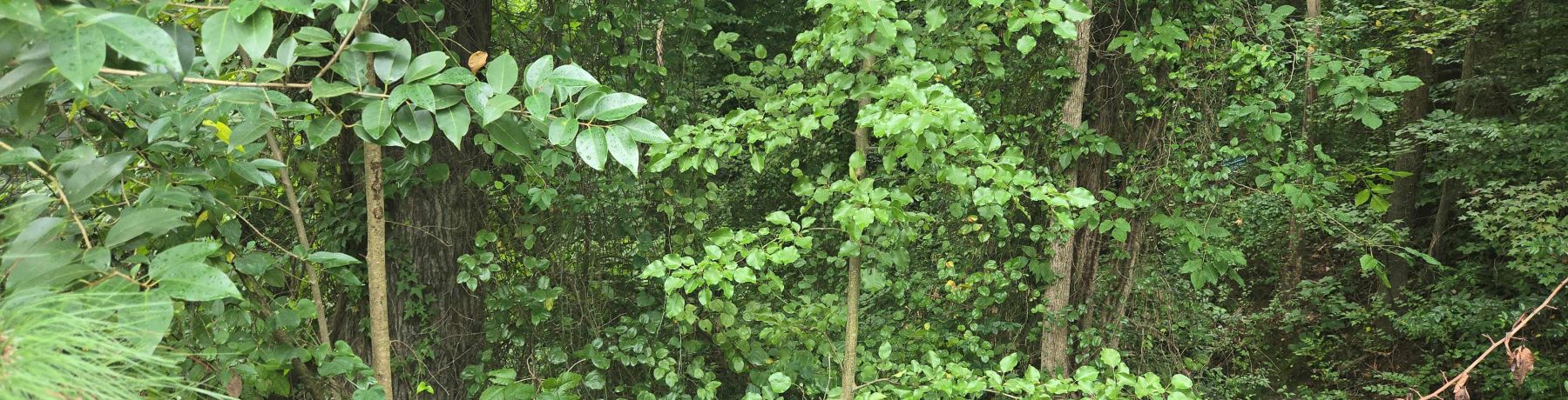 Available Lot — Downtown Durham