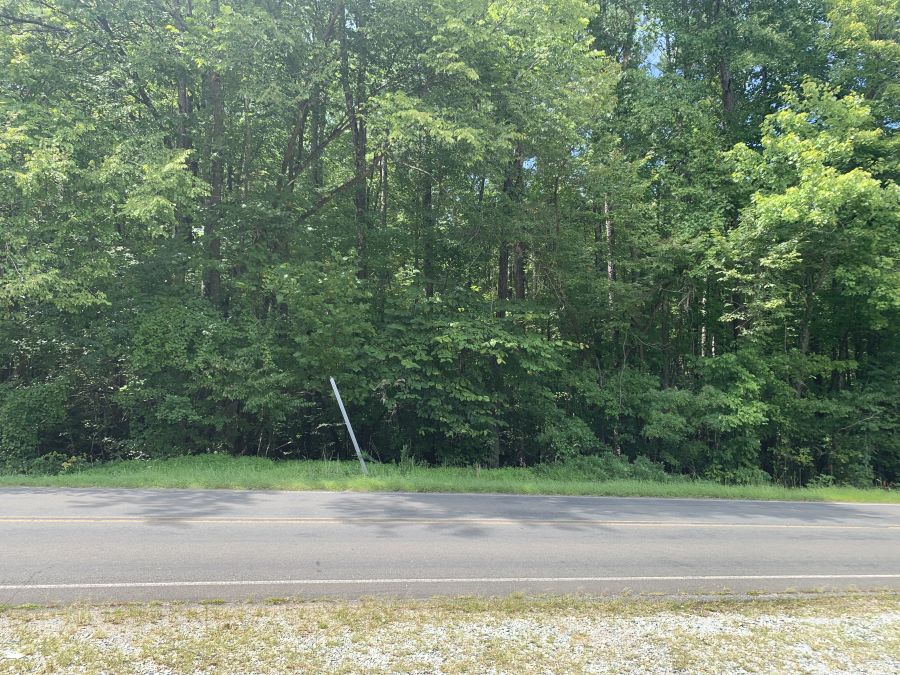 5.07 Acres of Wooded Land photo 3