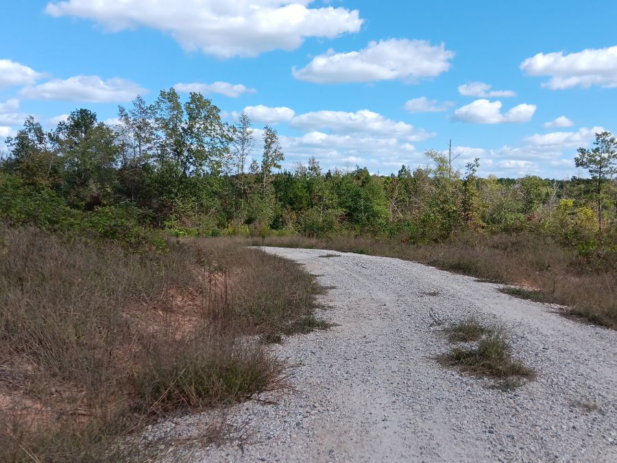 12+ Acres East of Louisburg photo 2