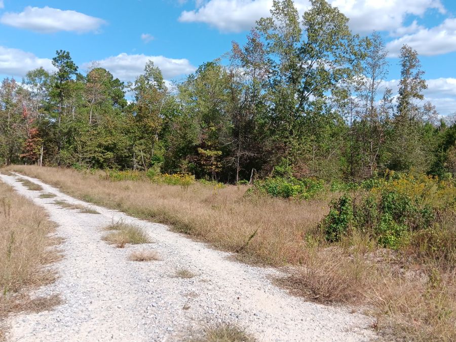 12+ Acres East of Louisburg photo 3
