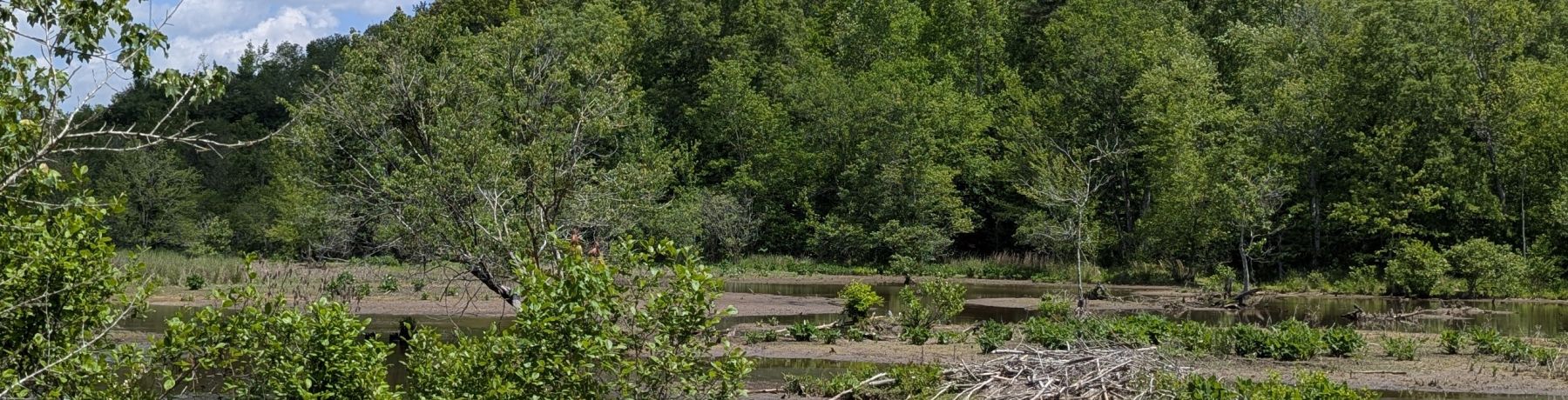 12+ Acres East of Louisburg photo 5