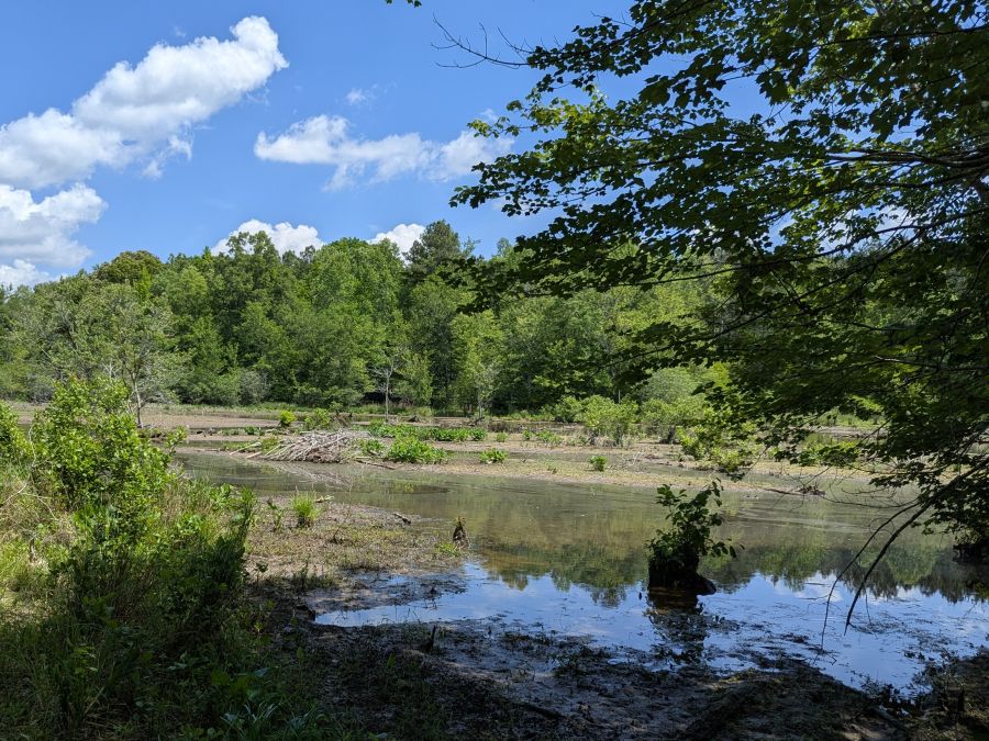 12+ Acres East of Louisburg photo 6