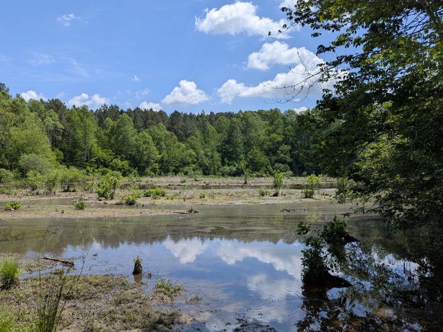 12+ Acres East of Louisburg photo 7