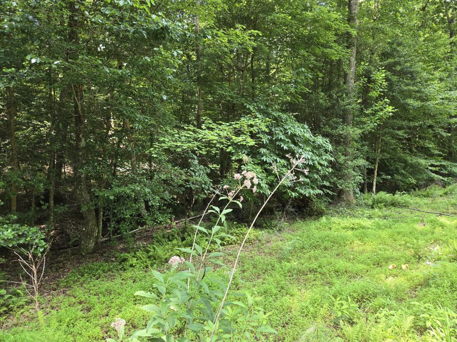 Buildable Lot in Private Gated Lake Community