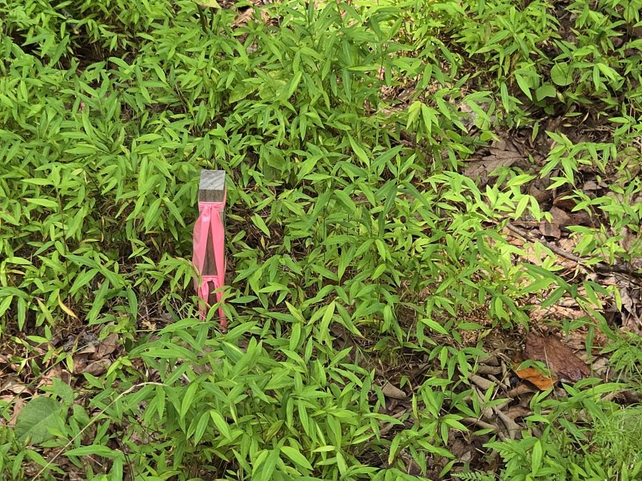 Buildable Lot in Private Gated Lake Community photo 2