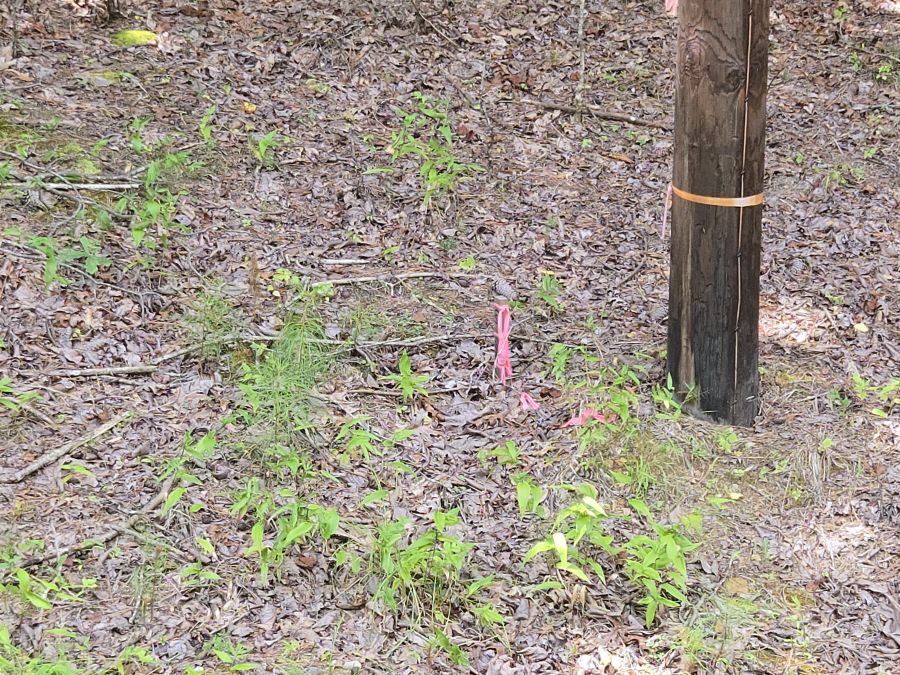 Buildable Lot in Private Gated Lake Community photo 3