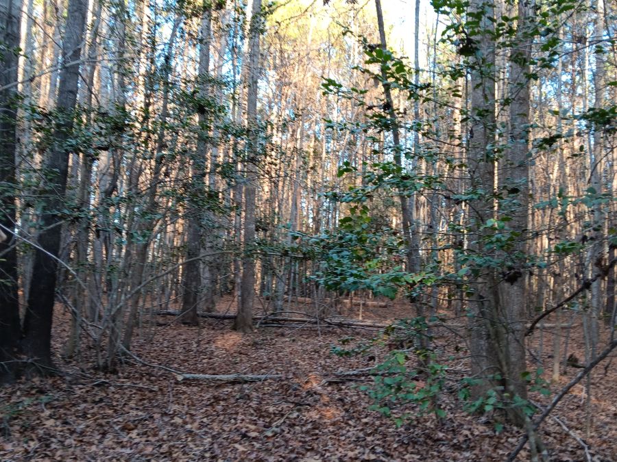 Seven 10+ Acre Tracts photo 2