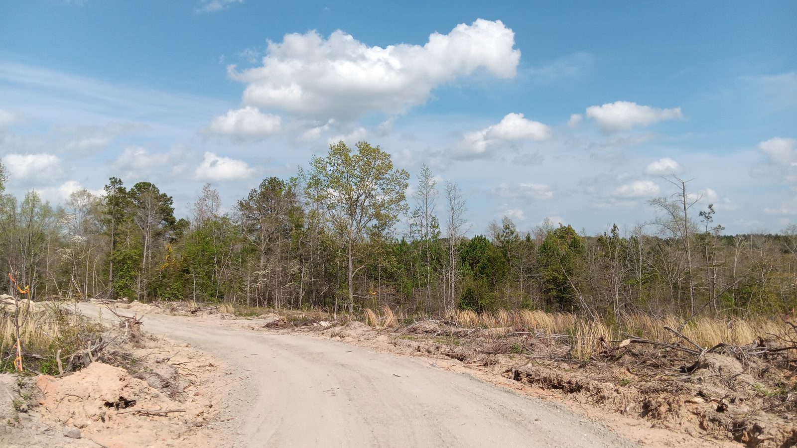 10 to 12+ Acres Near Louisburg photo 10