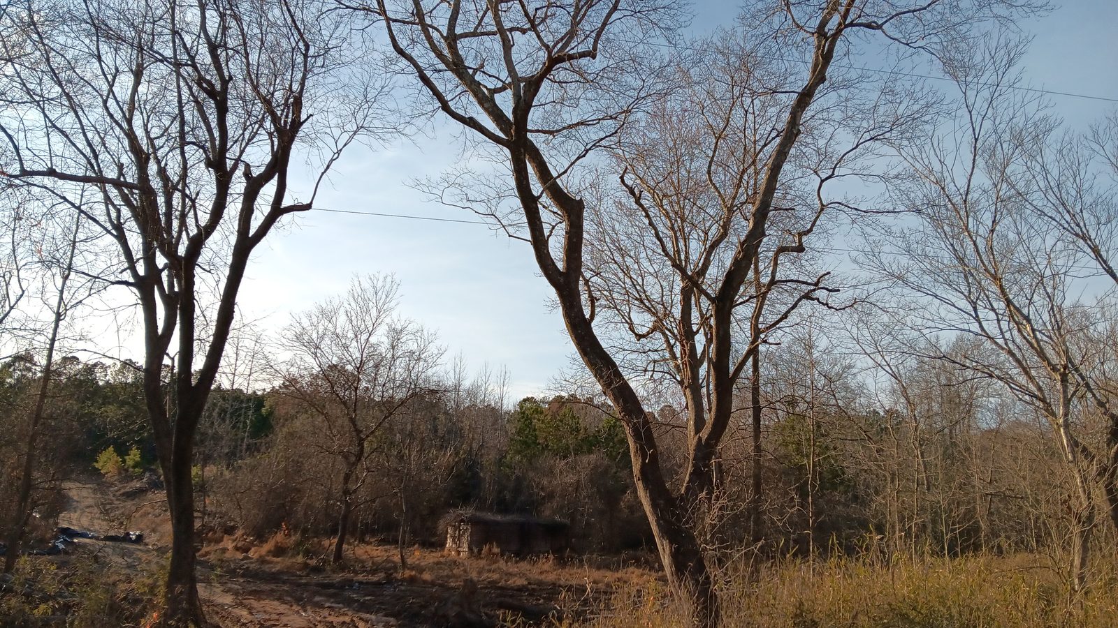 10 to 12+ Acres Near Louisburg photo 2