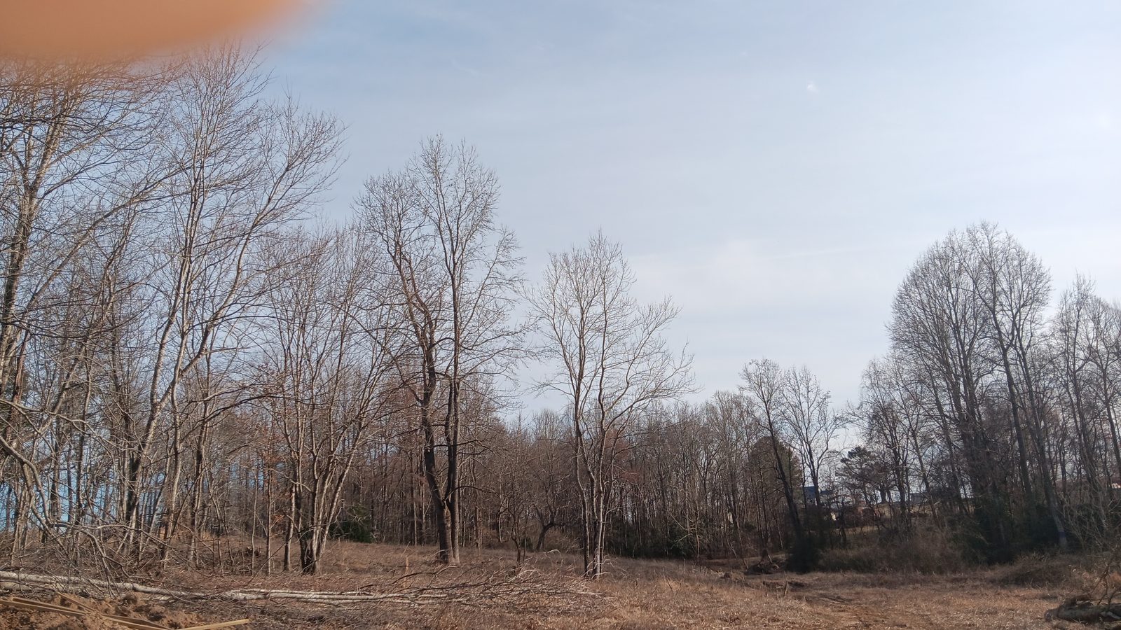 10 to 12+ Acres Near Louisburg photo 5