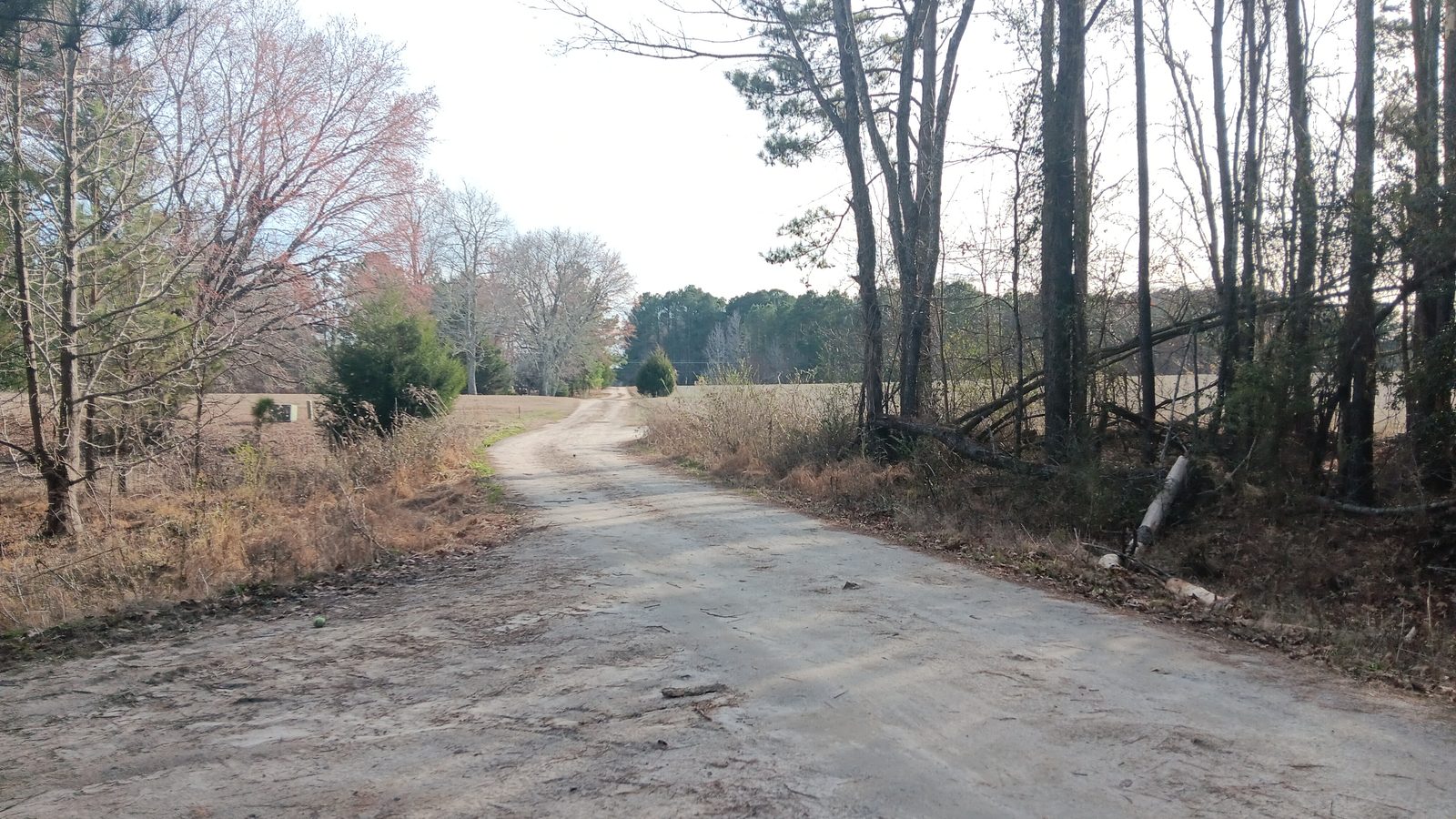 10 to 12+ Acres Near Louisburg photo 7