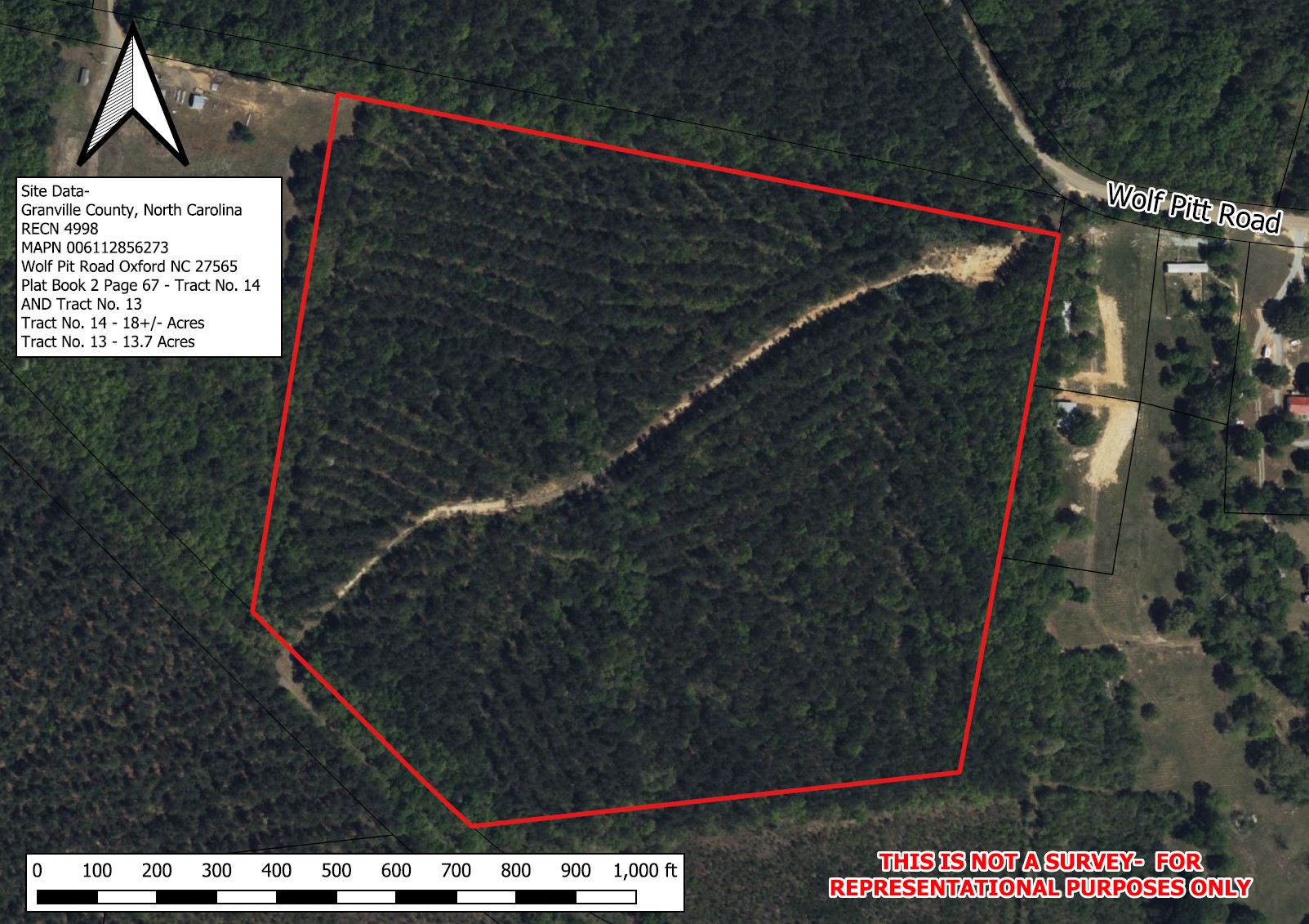 32 Acres — Merchantable Timber photo 11