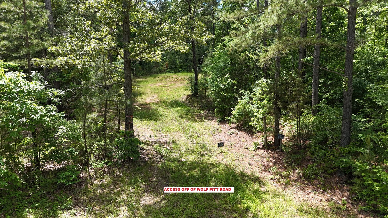 32 Acres — Merchantable Timber photo 5