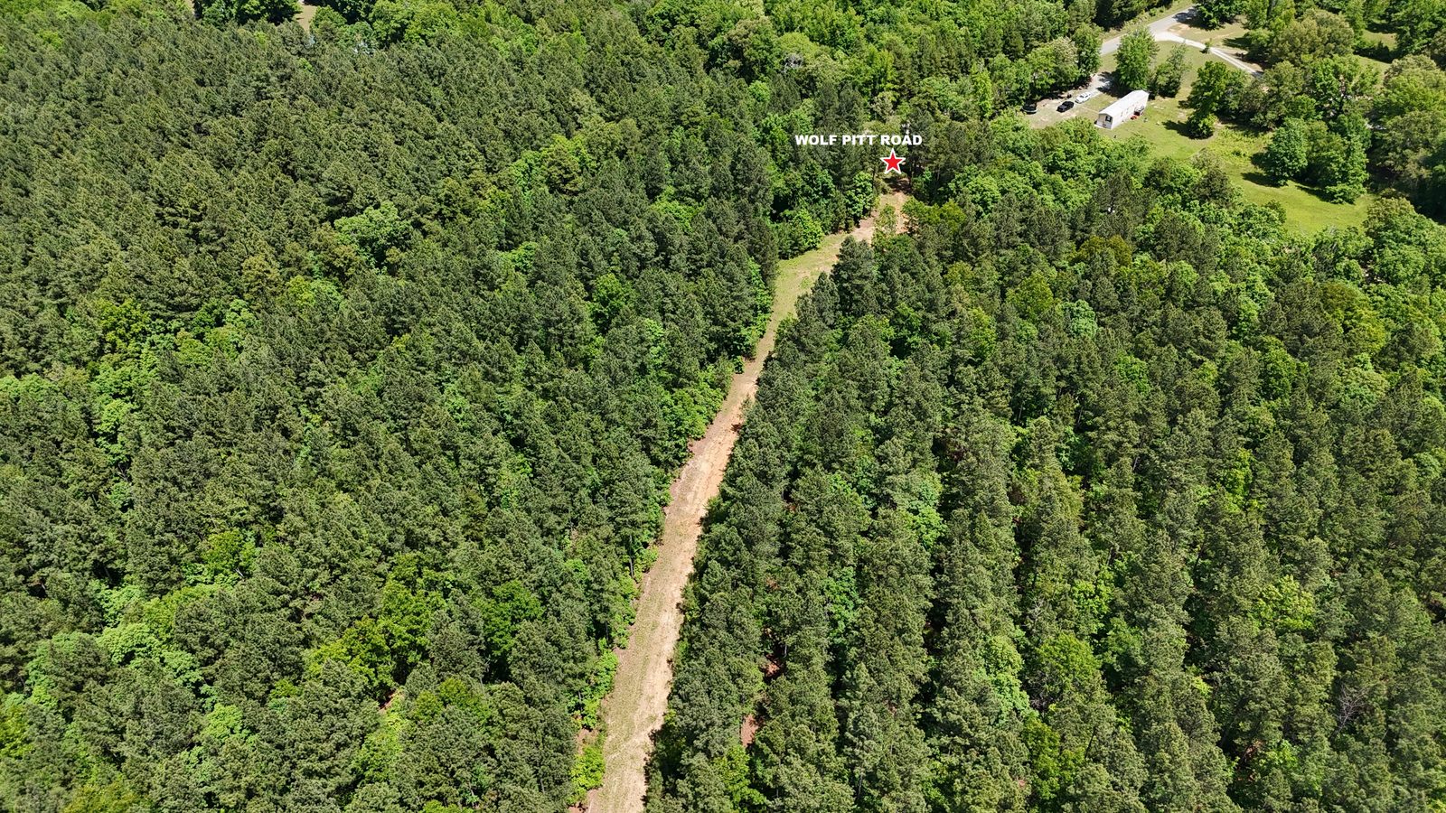 32 Acres — Merchantable Timber photo 7