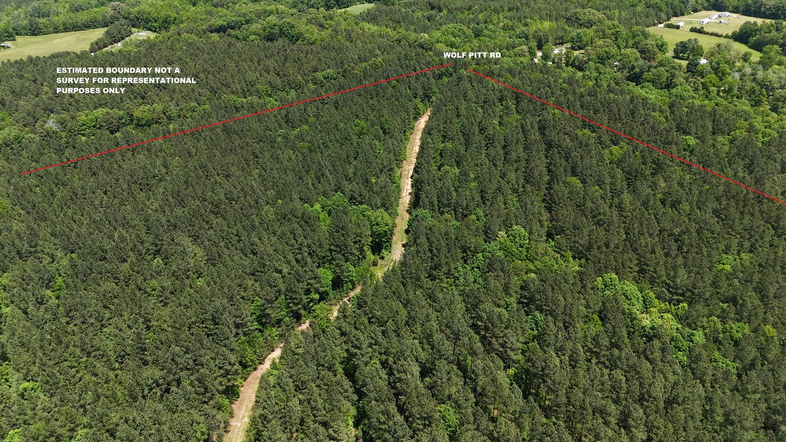 32 Acres — Merchantable Timber photo 8