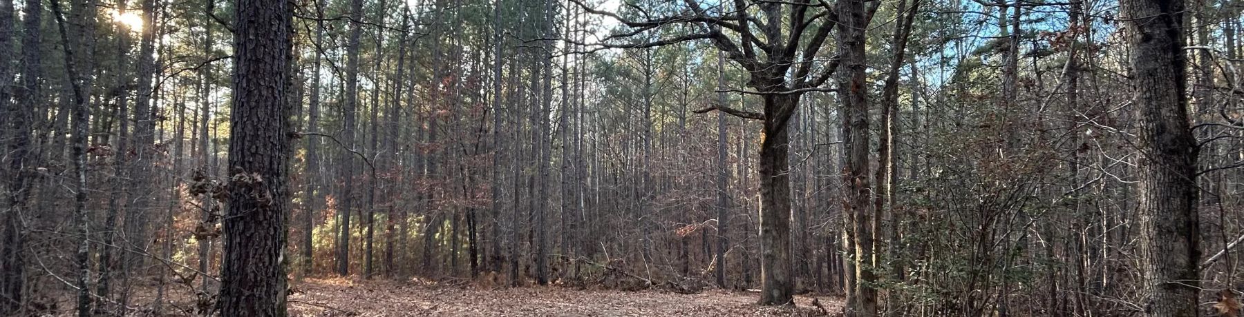 12.90 Acre Private Homesite photo 4