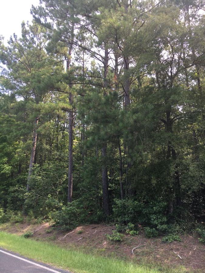 Roadside Lots — Vick Road, Spring Hope photo 4